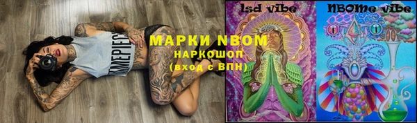 apvp Алзамай
