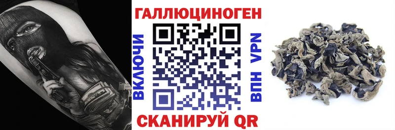 гидра ONION  где найти наркотики  Балахна  Псилоцибиновые грибы ЛСД 